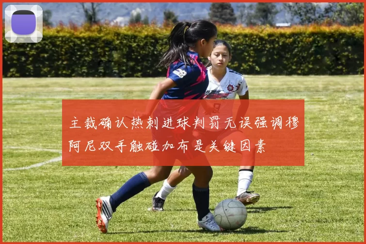 主裁确认热刺进球判罚无误强调穆阿尼双手触碰加布是关键因素