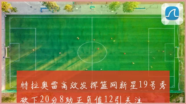 特拉奥雷高效发挥篮网新星19号秀砍下20分8助正负值12引关注